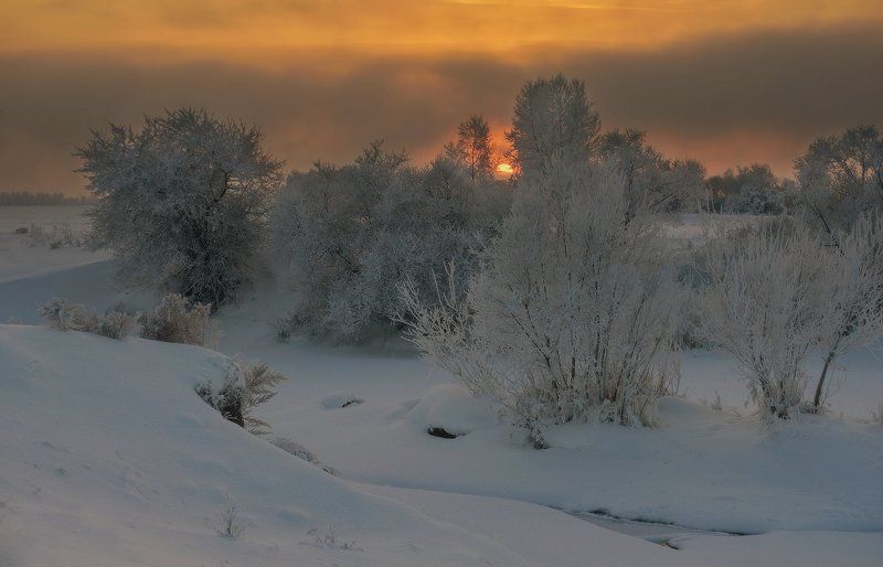 Про огнеокое фотожлобство и то, как Вероника Павловна, неудачно споткнувшись, ушибла коленную чашечку и локоток. фото превью