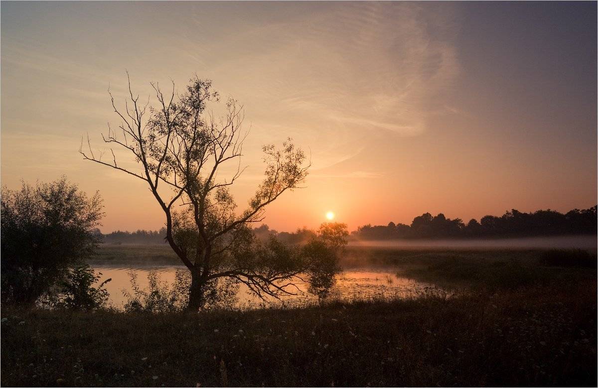, Николай Шахманцир