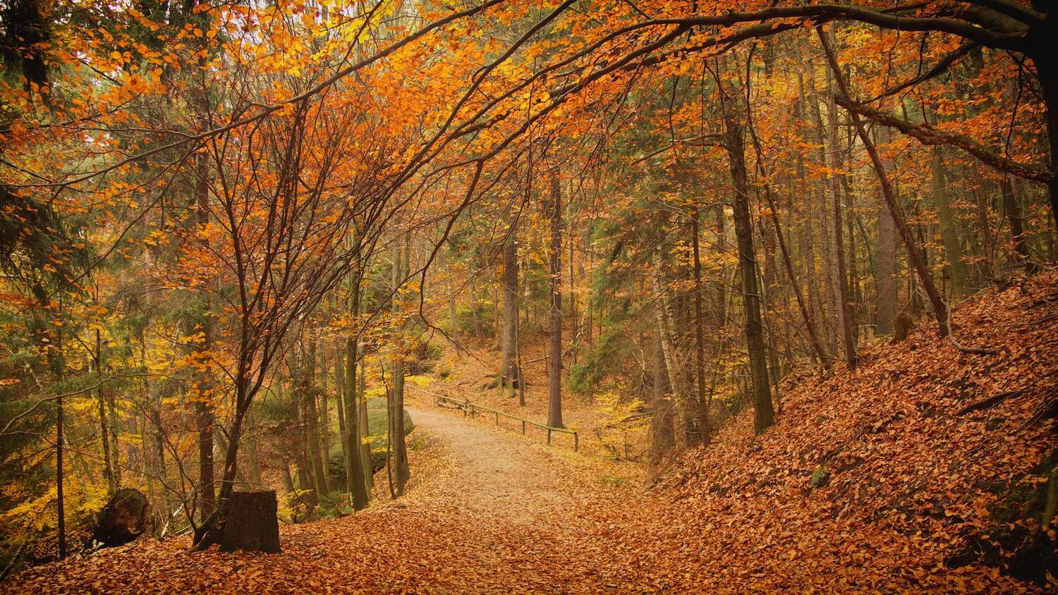 , СПИРИДОНОВ НИКОЛАЙ