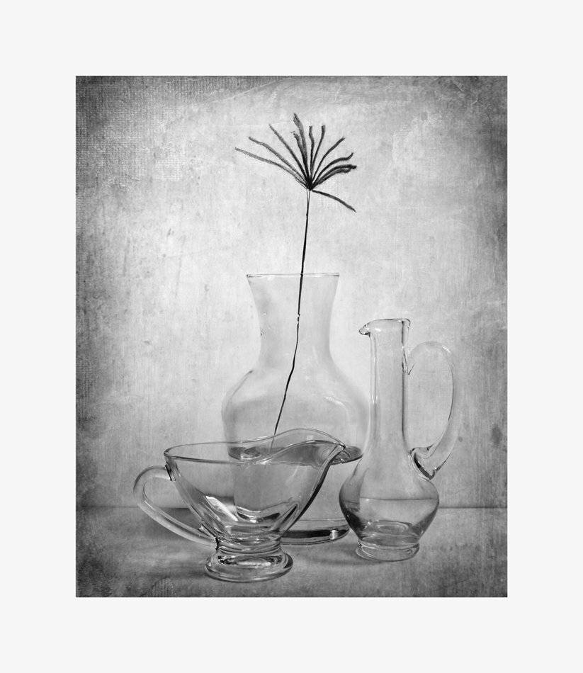 , Людмила Прокофьева