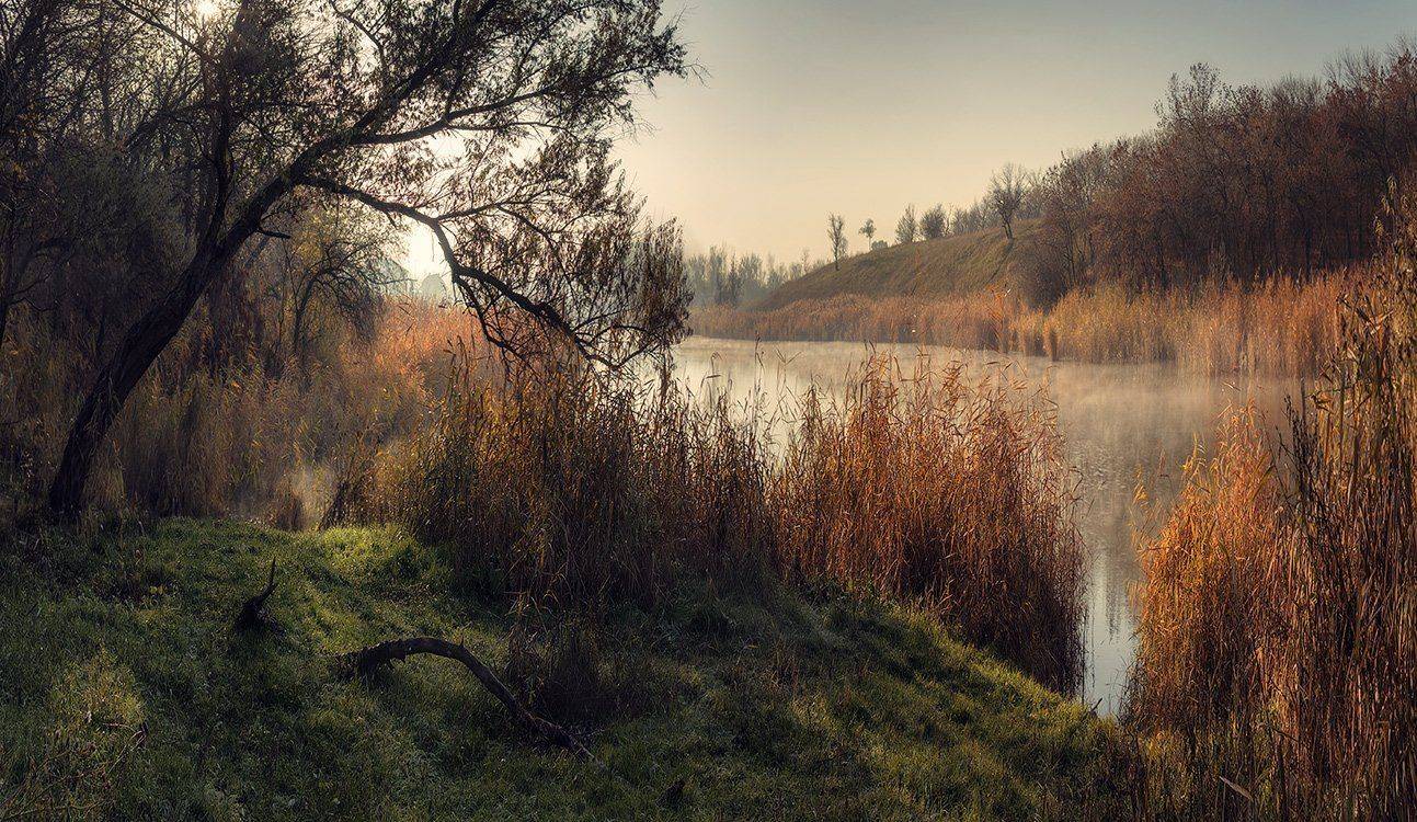 , Игорь Мелекесцев