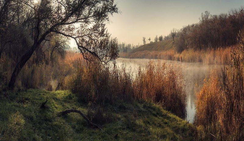 Ещё одна осень фото превью