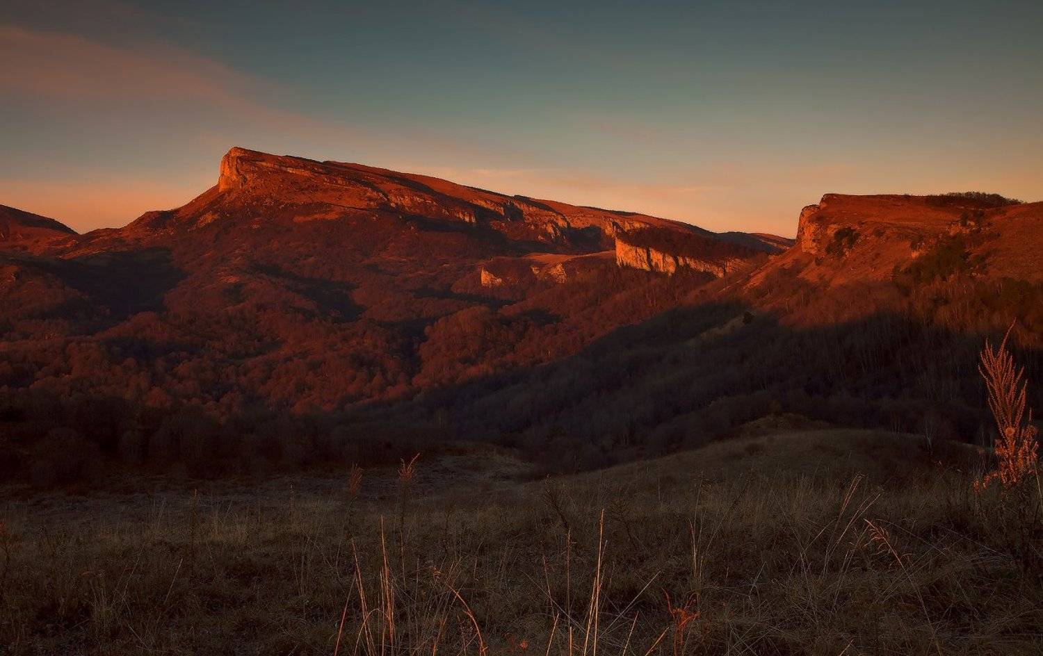 , Ирина Заграничная