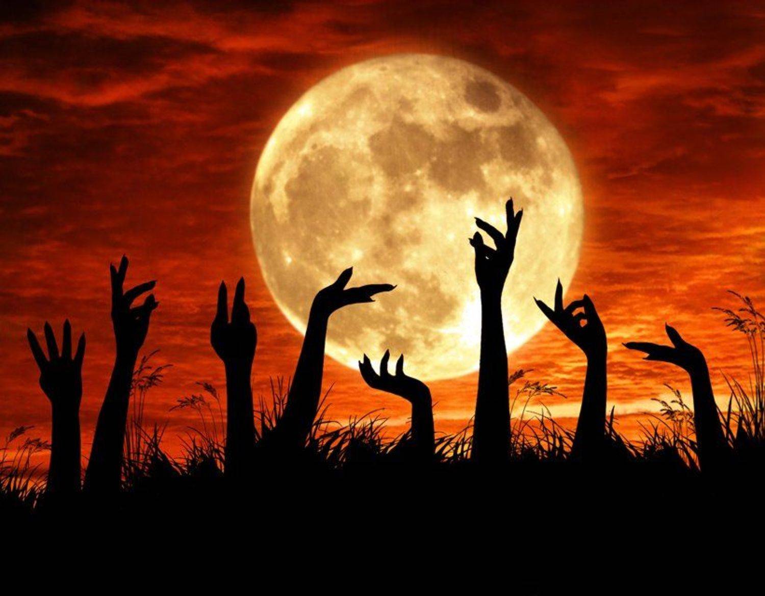 , Iridi (Ирина Кузнецова)