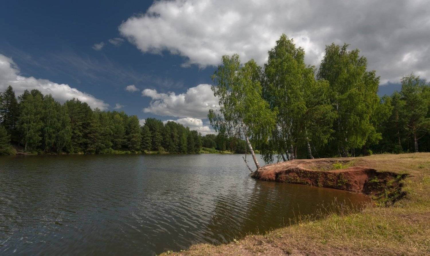 озеро, березы, лес, облака, лето, Георгий Машковцев