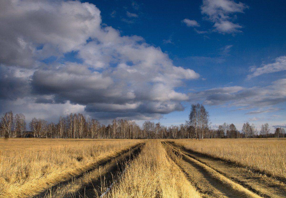 , Николай Морский