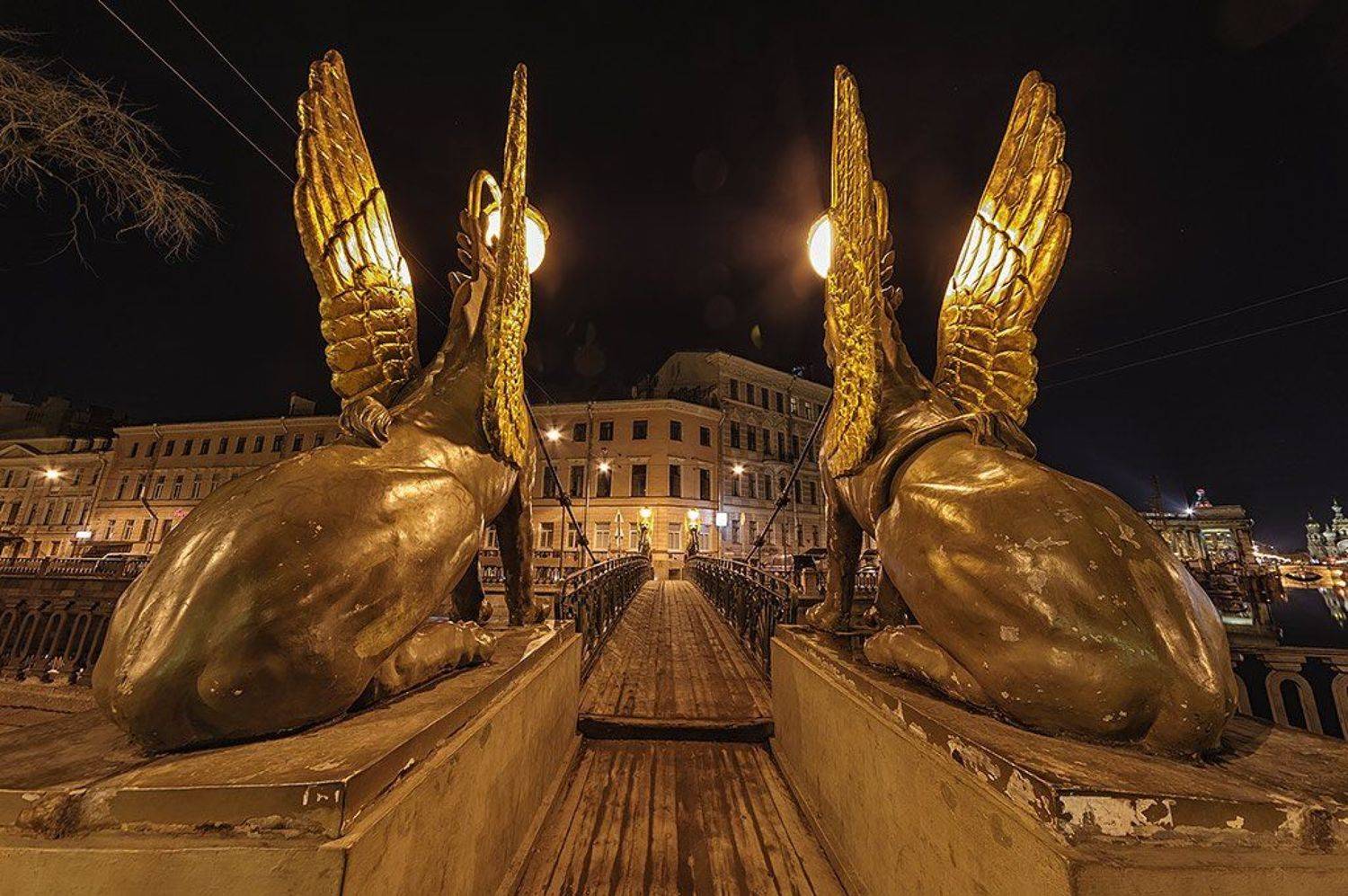 , Лунный Ежик