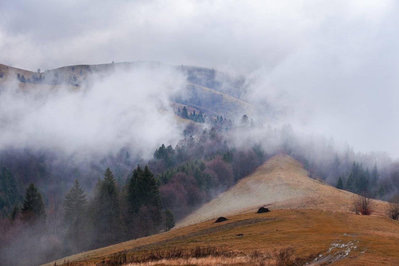 , Игорь Иванов