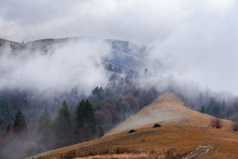 Непогода в Карпатах фото превью