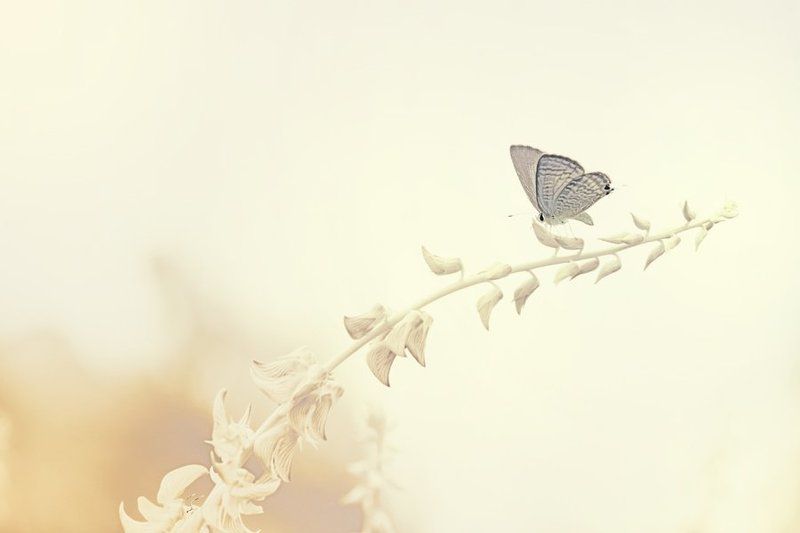 solitude фото превью