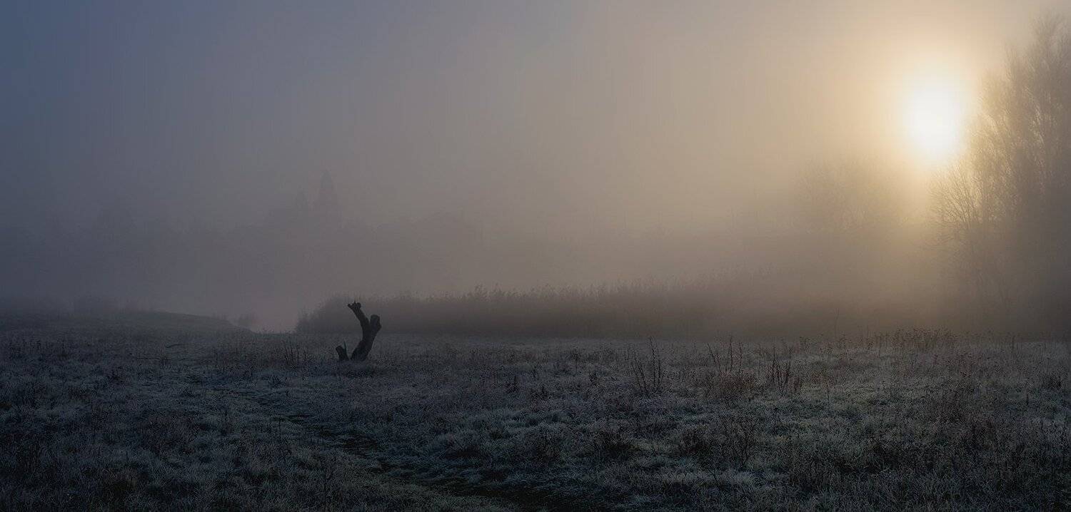 , Игорь Мелекесцев