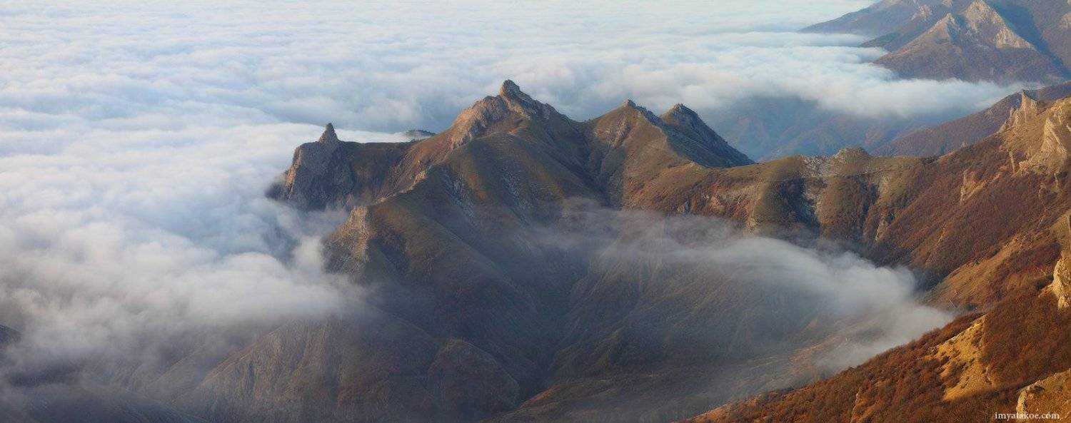 , Михаил Псарёв