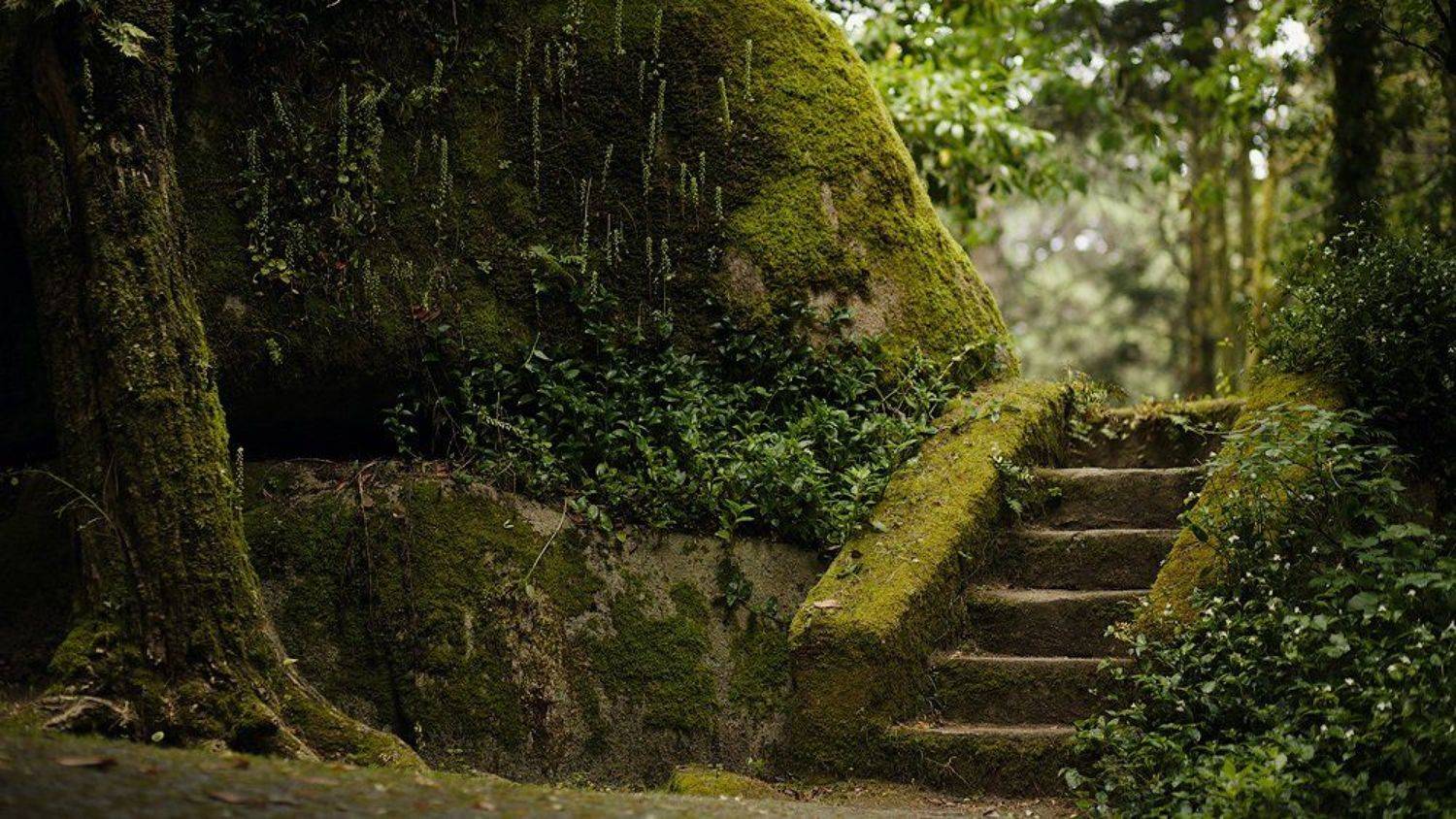 , Кокорев Илья