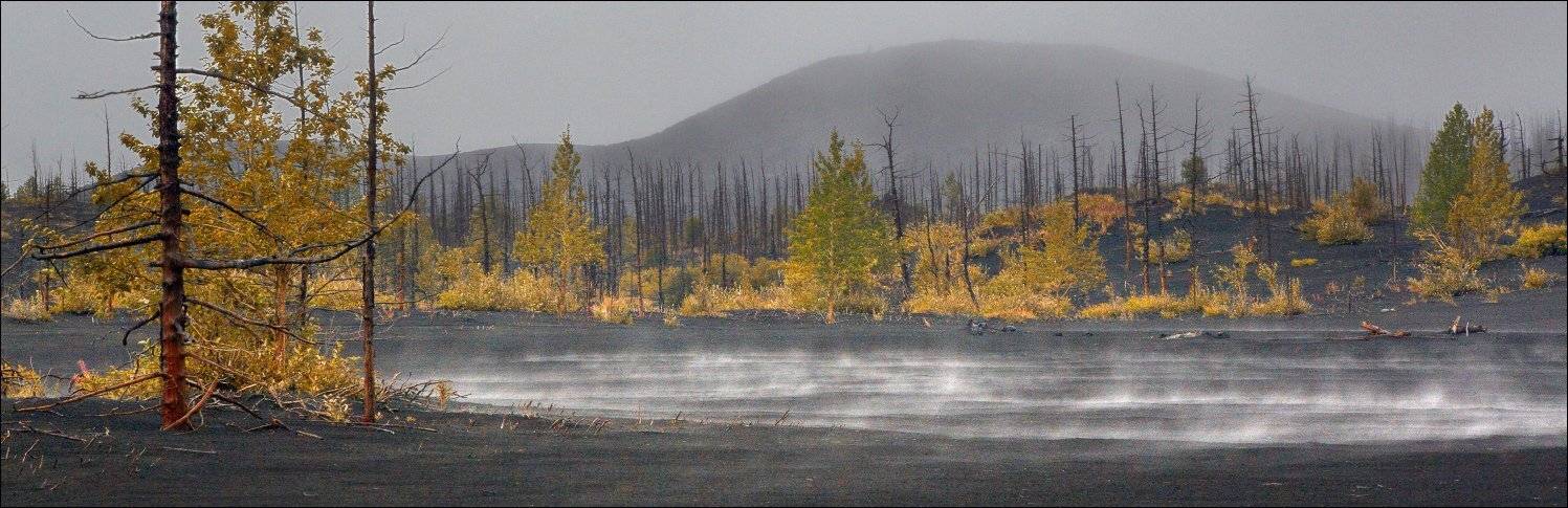 , Вадим Никифоров