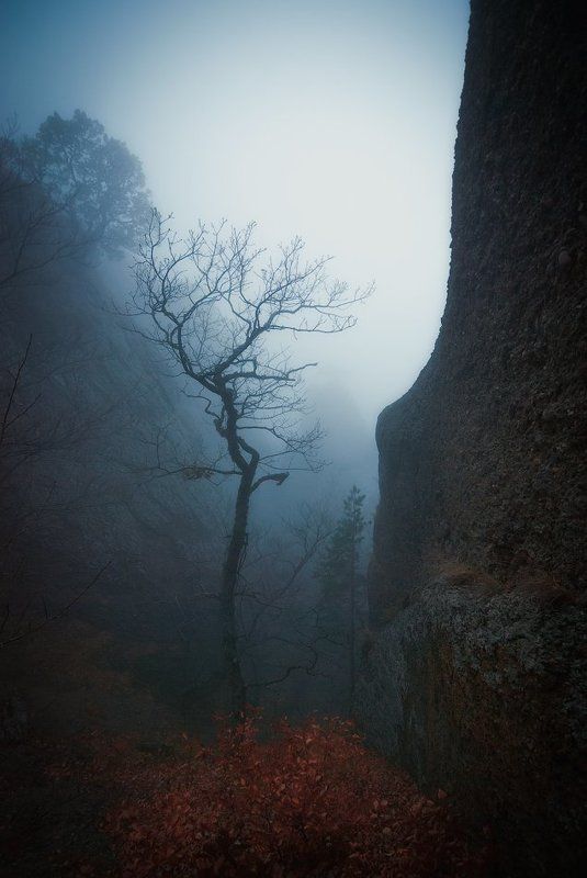 крым, демерджи Щель фото превью