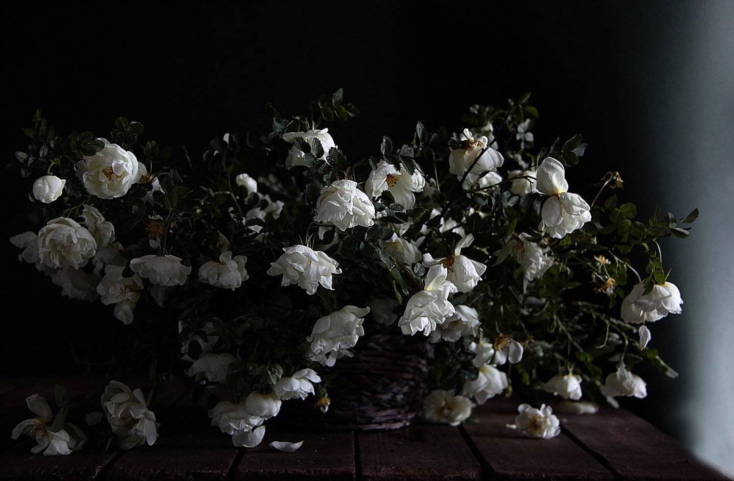 натюрморт, цветы, Svetlana Ра