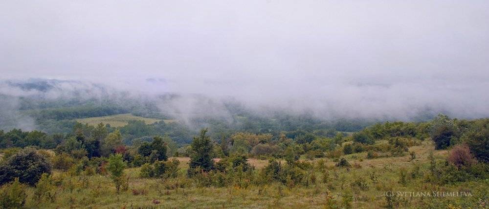 , Светлана Щемелева