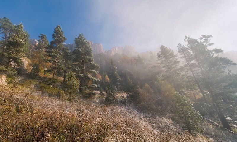 ОСЕНЬ БЫВАЕТ РАЗНАЯ фото превью