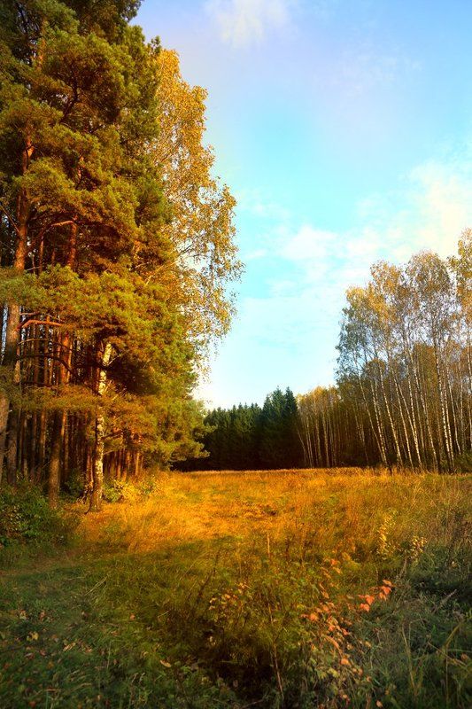 эдуард басов, пейзаж, мытищи  фото превью
