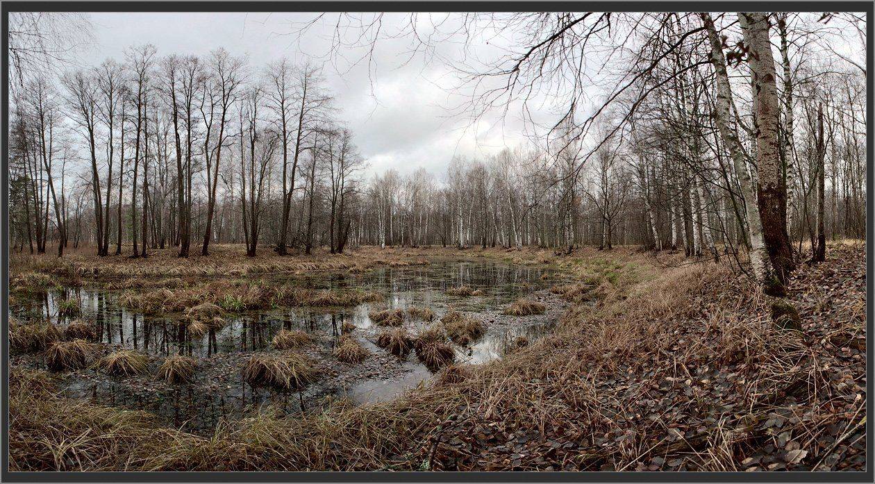 поздняя осень, старица, мещера, рязанская область, Валерий Пешков