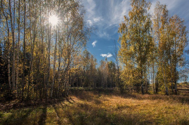 Осенняя,солнечная фото превью