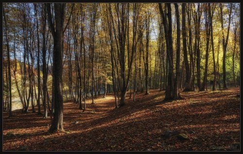 Осеннее пробуждение...