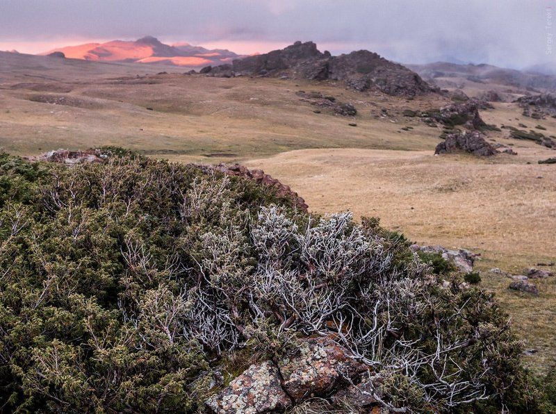 горы Бойкадын-тау фото превью