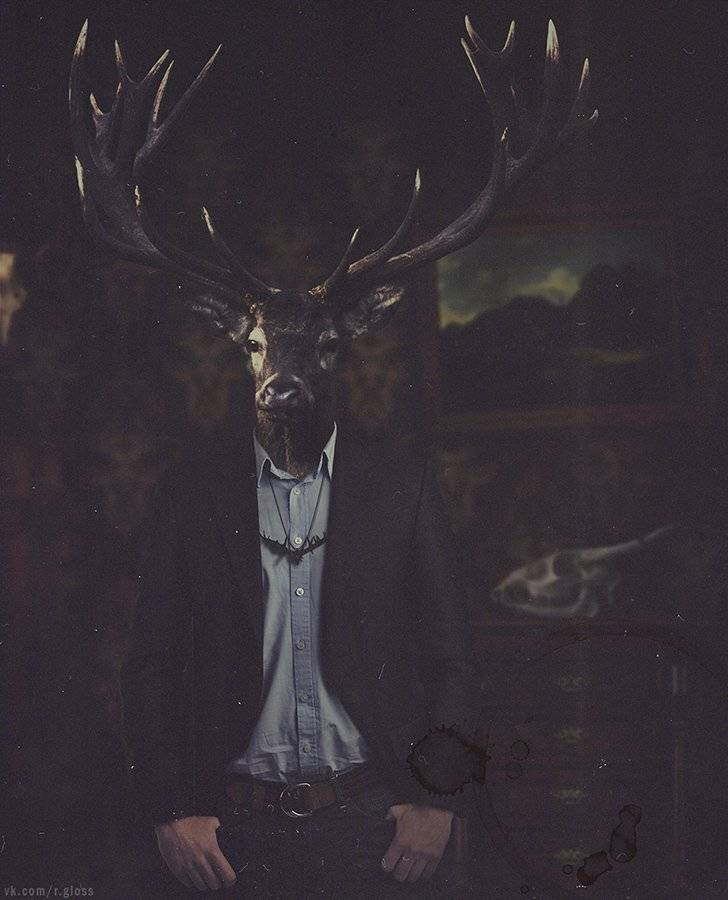 , Роман Глосс