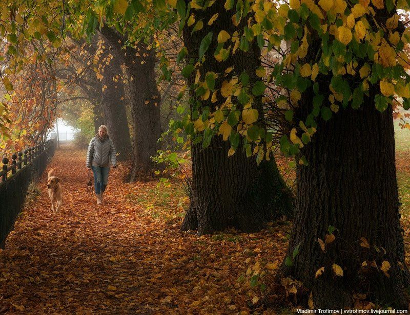 Austria Дама с собачкой фото превью