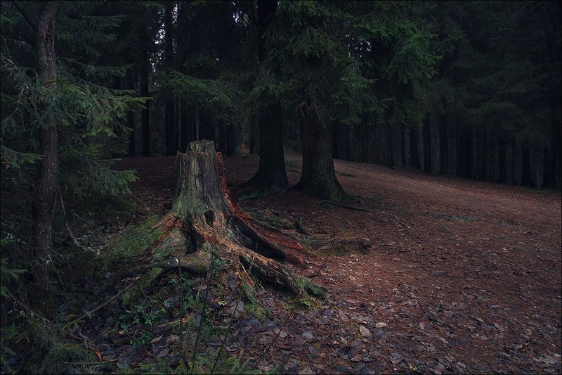 *** фото превью