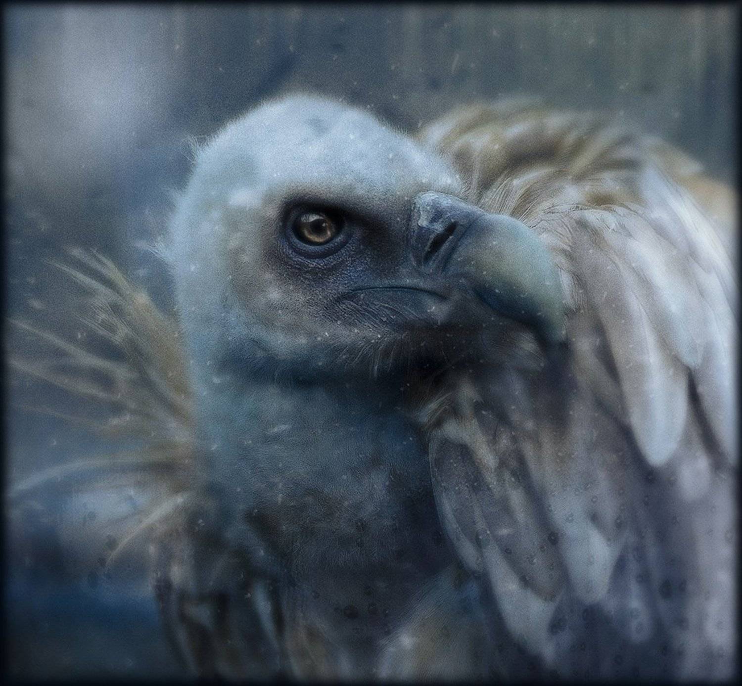 , Светлана Мелик-Нубарова