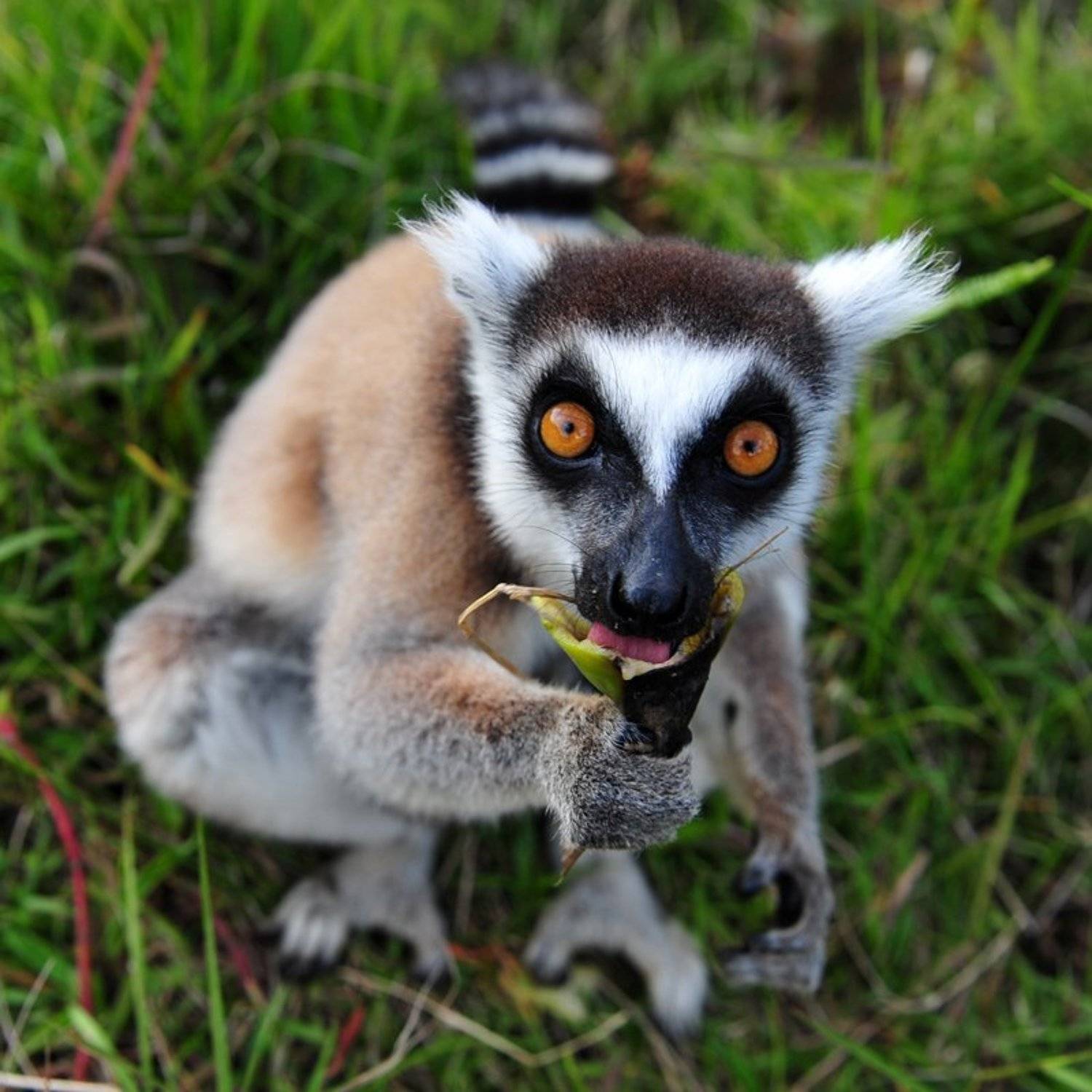 , Сотсков Николай