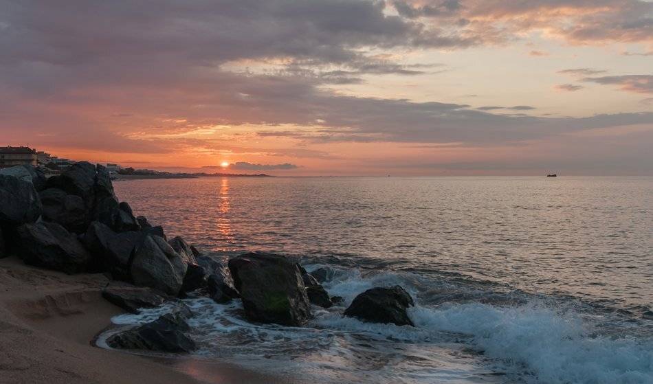 , Людмила Прокофьева