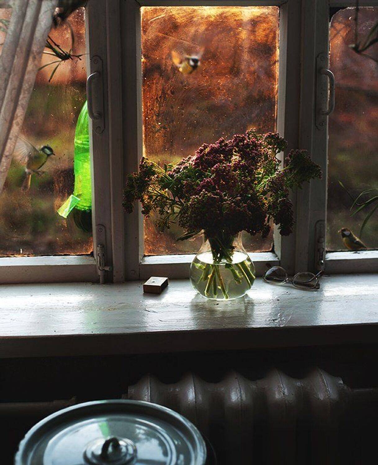 , Анна Ермолова