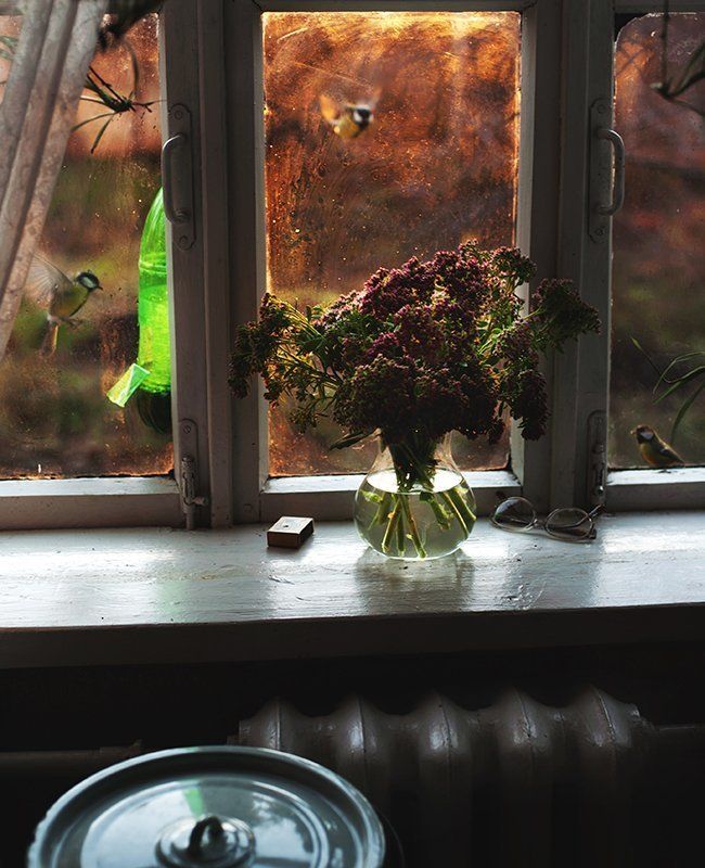 Скоро зима фото превью