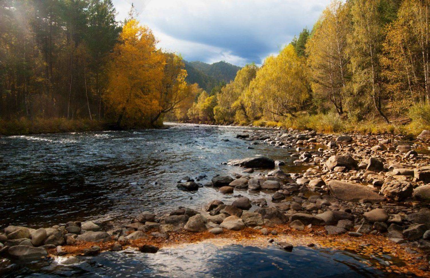 , Волков Анатолий