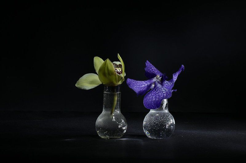 Это фото превью