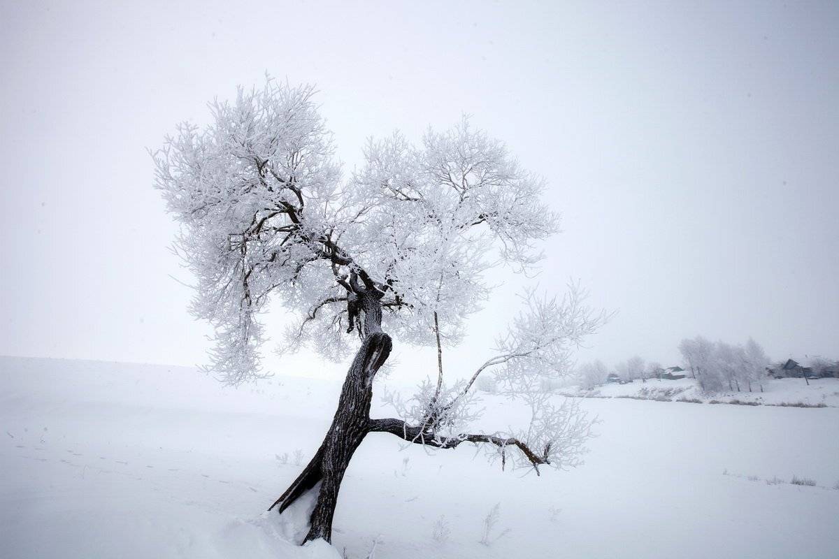 , Валерий Кондратов