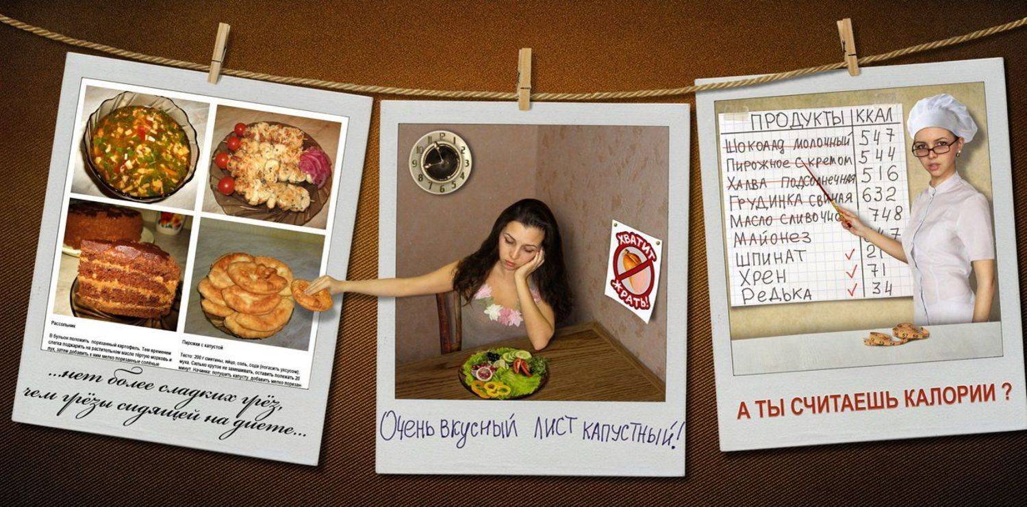 диета, еда, юмор, калории, похудение, Iridi (Ирина Кузнецова)