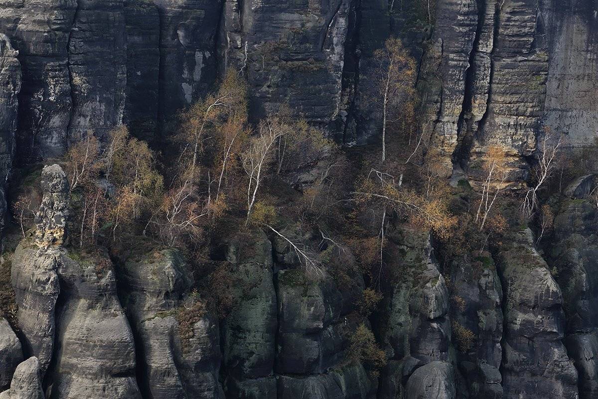 , Игорь Дубровский