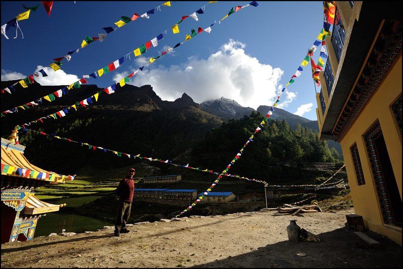 В стране флажков фото превью