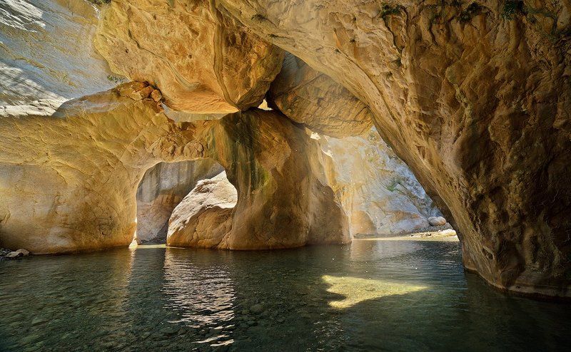 Про Федьку-Воробья, который внезапно обзавелся шикарнейшим сопрано. фото превью