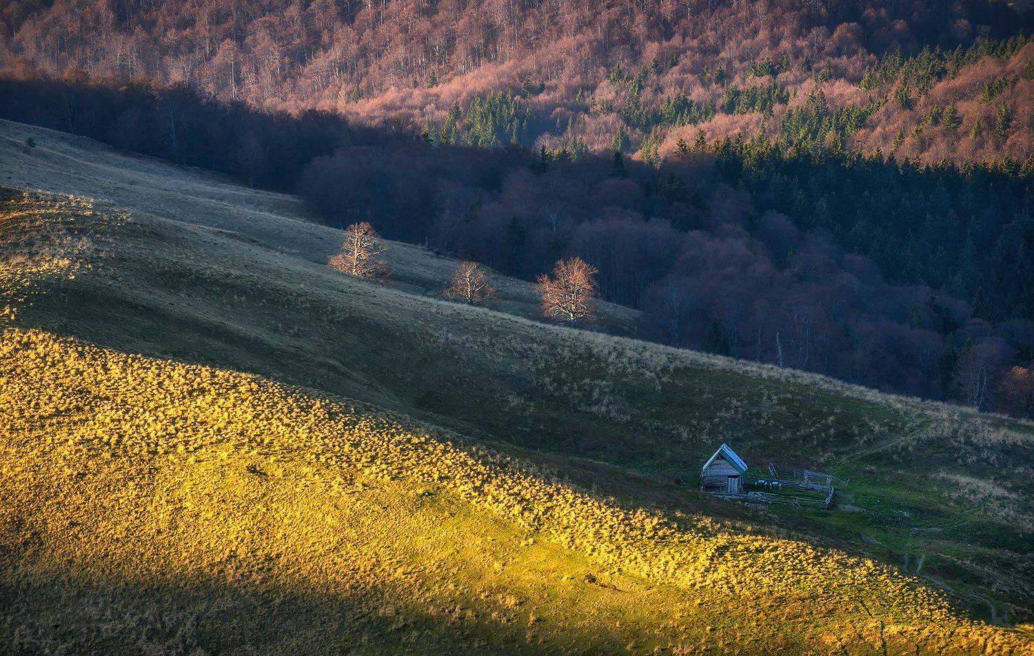 Autumn, Landscape, Nature, Ioan Chiriac
