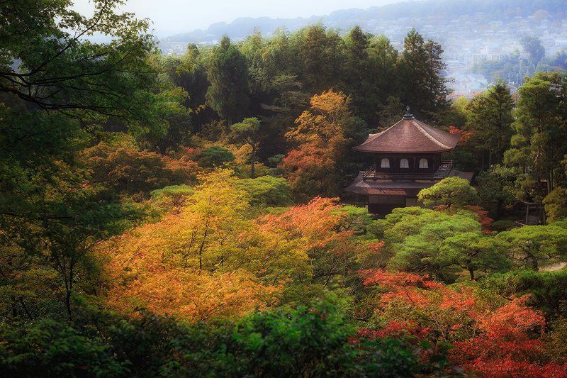 Autumn colors of Ginkaku-ji фото превью