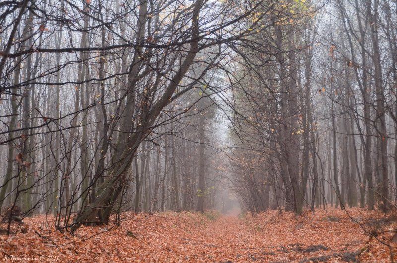 Дорога в позднюю осень фото превью