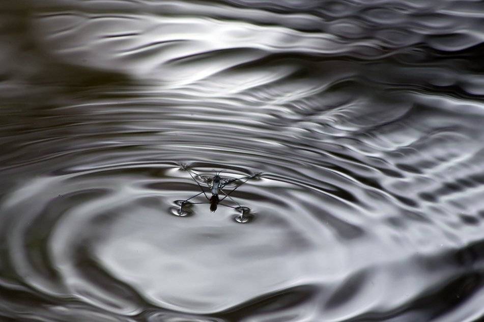 , Иваненко Светлана