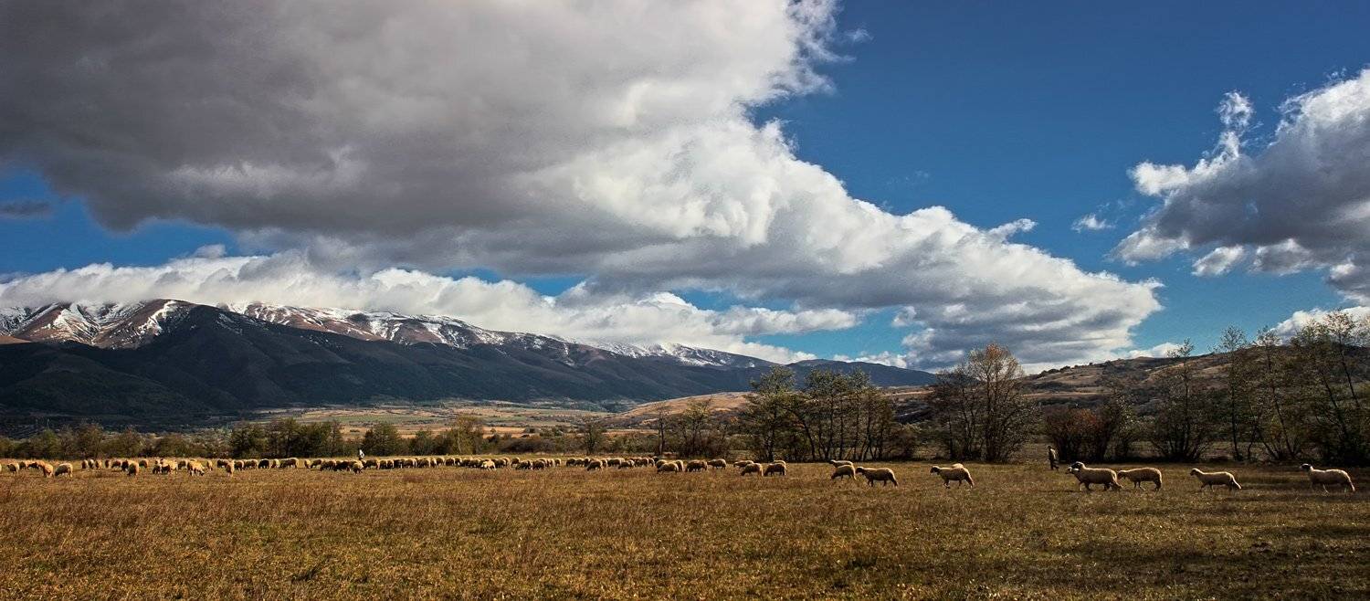 , Ирина Костова