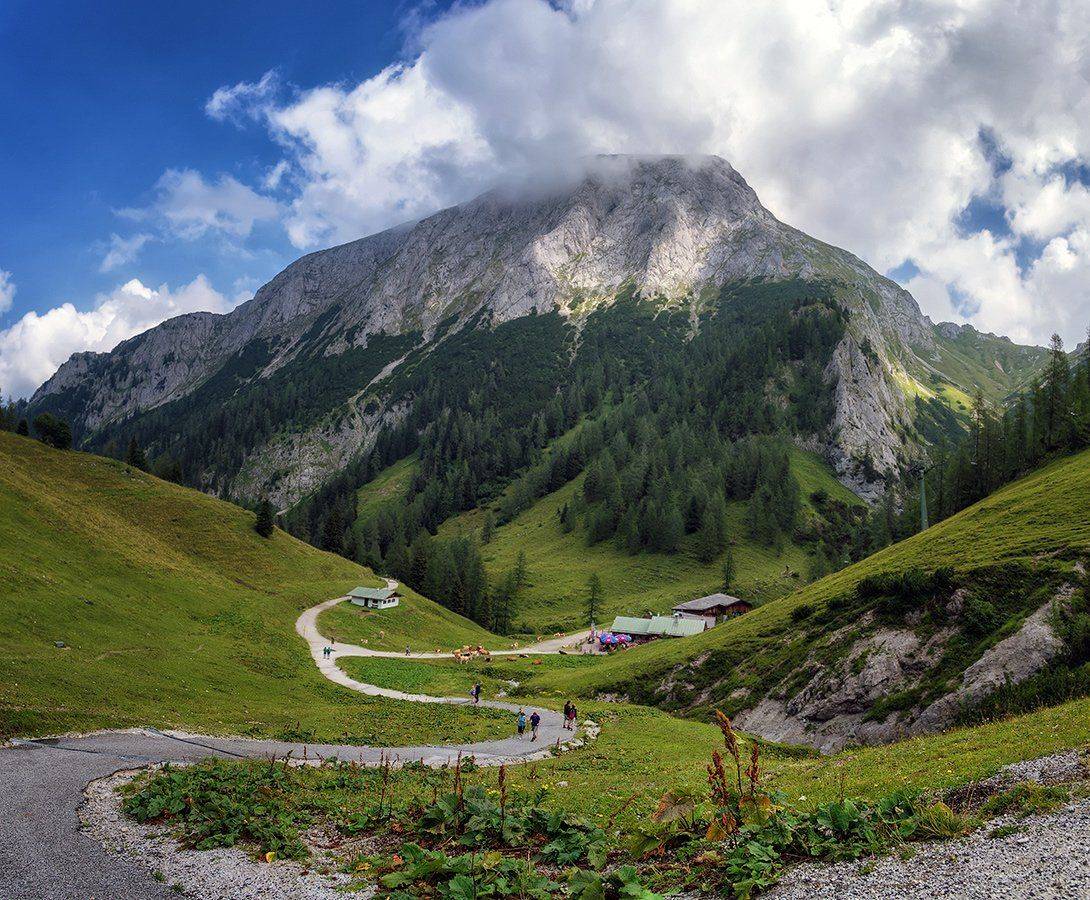 , Игорь Мелекесцев