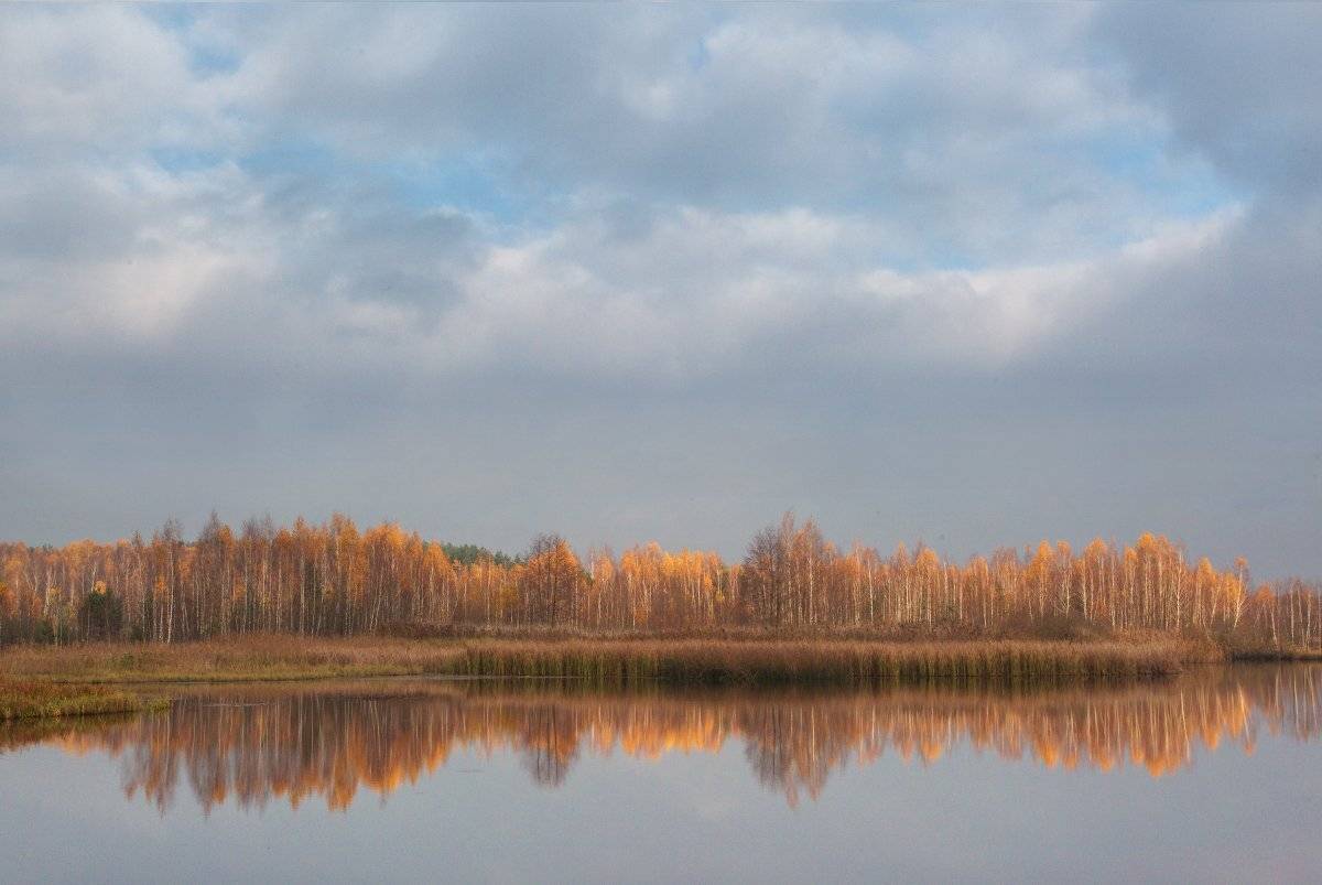 , Александр Удовиченко