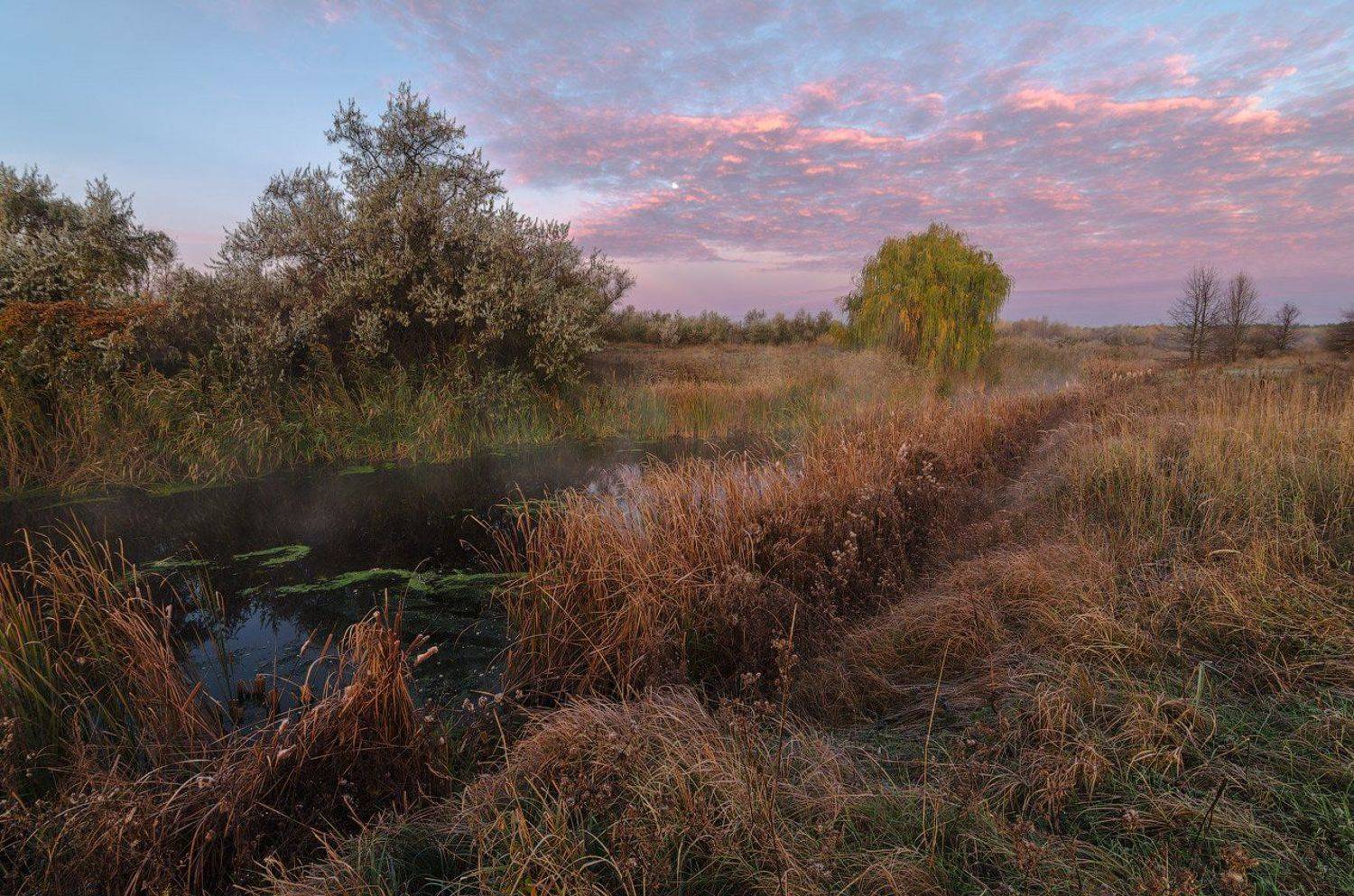 камыш, осень, рассвет, речка, туман, U-235